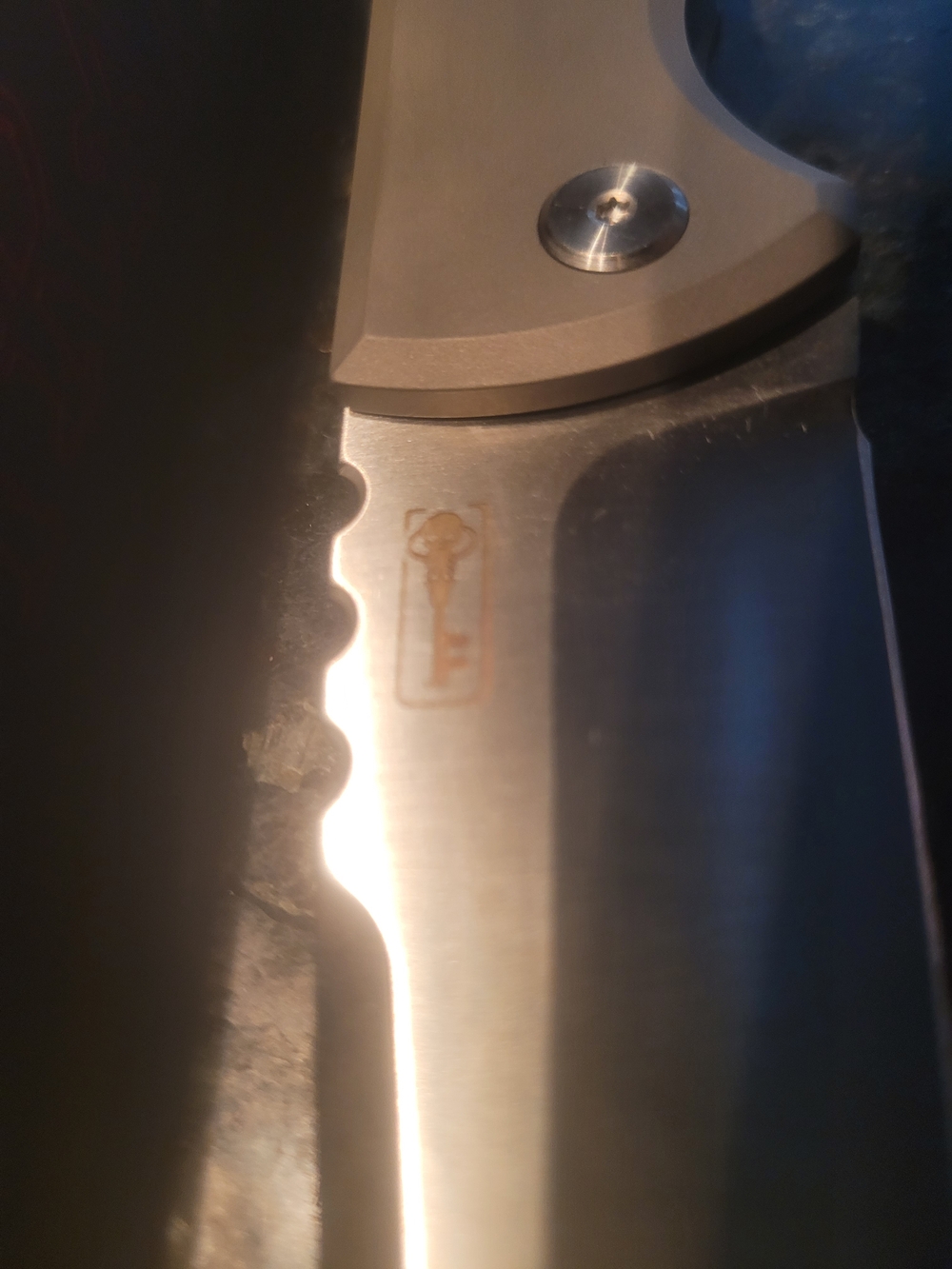 Chavez Rendicion M390 Flipper - Picture 4 of 12